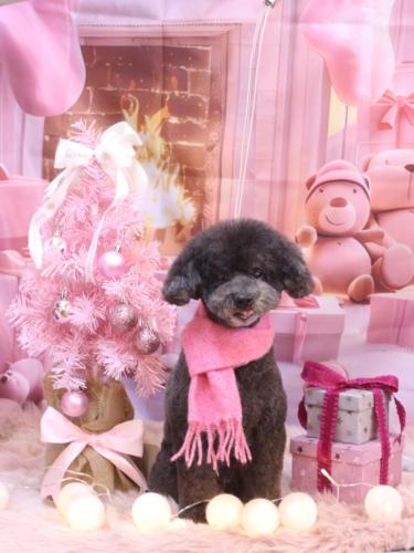 20241227コタロウくん